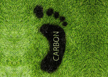 pakgreen carbon footprint