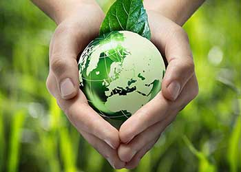 Environmental consultanty Services